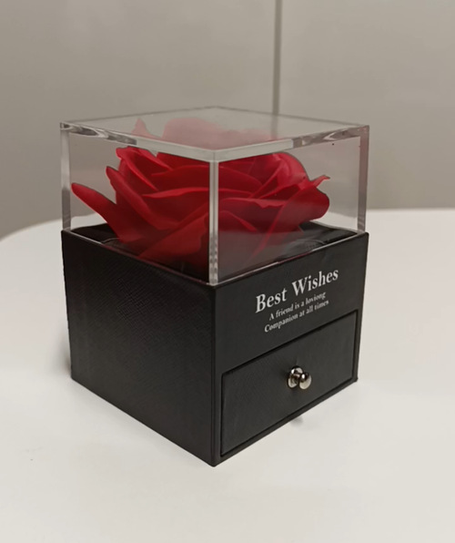 Eternal Rose & Necklace